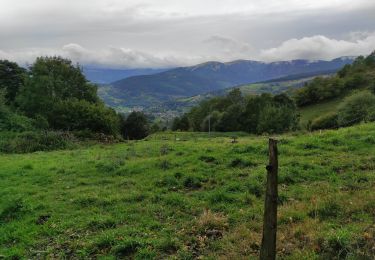 Trail Walking Orbey - ,Glasborn Pierres Tremblent es Hohrodberg  - Photo