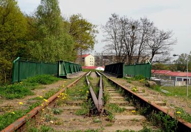 Percorso A piedi Sconosciuto - Vadam - Photo