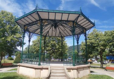 Excursión Senderismo Gérardmer - GERARDMER ... Le tour du lac.  - Photo