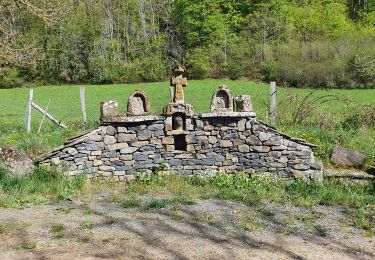 Trail Walking Courgoul - Courgoul_Plateau_Ussel - Photo