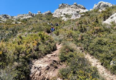 Trail Walking Marseille - carpiagne les eaux vives  - Photo