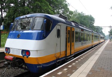 Tour Zu Fuß Renkum - Groene Wissel: Oosterbeek 066 - Photo