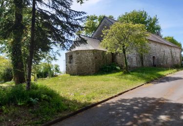 Tocht Stappen Trédion - SityTrail - GRP_Vannes_Lanvaux_Ae-06_Tredion_Le-Cours_20210508 - Photo