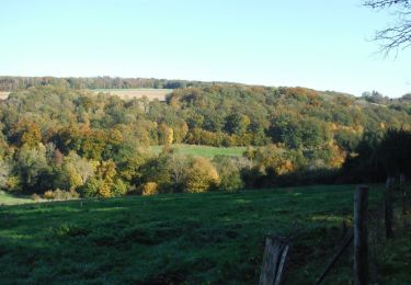 Trail Walking Pargny-la-Dhuys - Pargny-la-Dhuys du 28-10-2021 - Photo