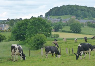 Tour Wandern Florenville - RB-Lu-19_Chameleux - Photo