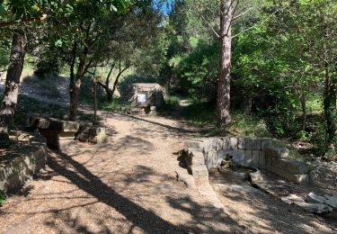 Tocht Stappen Clarensac - Clarensac et les fermes voltaïques. - Photo