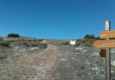 Trail Walking Caussols - Caussols - Photo