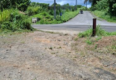 Tour Wandern Le Lorrain - Rando Test - Photo