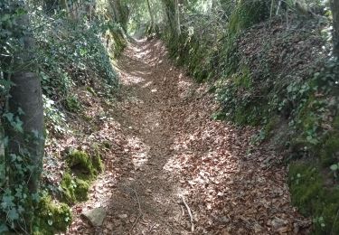 Excursión Senderismo Le Faouët - Le Faouët - Les cahots de l'Elle  - Photo