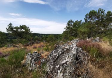 Trail Walking Saint-Gravé - Vers les grées et le mur interminable.  - Photo