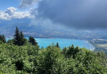 Trail Road bike Le Bourget-du-Lac - Le relais du Mont du Chat - Photo