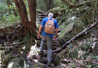 Tour Wandern Salazie - Cascade Blanche - Photo