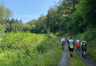 Tour Wandern Rochefort - Montgauthier  - Photo