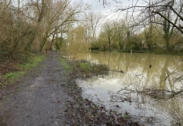 Trail Walking Erquinghem-Lys - Erquinghen-Lys inondations 12 km - Photo