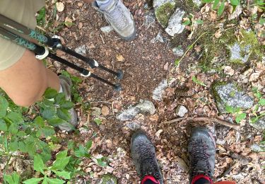 Tour Wandern Saint-Agnan-en-Vercors - Le jasse du play retour  - Photo