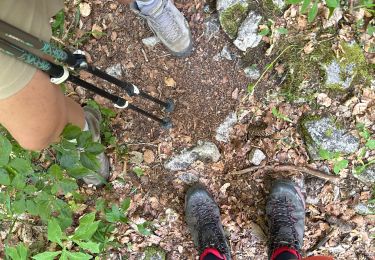 Trail Walking Saint-Agnan-en-Vercors - Le jasse du play retour  - Photo