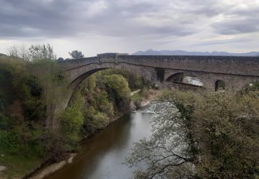 Trail Walking Céret - Céret pont du Diable . Saint Feriol (boucle sens aiguilles de la montre) - Photo