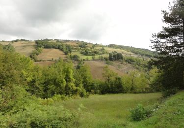 Tocht Te voet Brisighella - IT-13 - Photo
