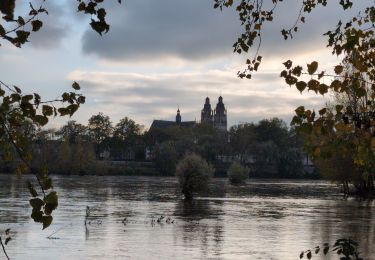 Trail Walking Fondettes - Fondettes Gare - Saint-Cyr-sur-Loire Tours - 23.4km 345m 5h10 (40mn) - 2024 10 27 - Photo