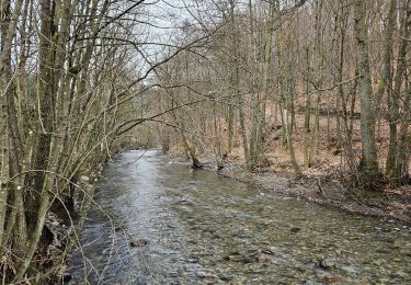 Tour Wandern Malmedy - Bévercé- vallée de la Warchenne - Chôdes  - Photo