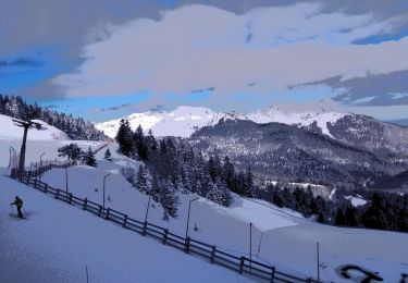 Excursión Raquetas de nieve Boutx - 03-01-2021 Mourtis tuc de l’étang  - Photo