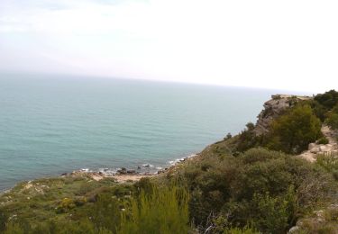 Trail Walking Leucate - sentier du guetteur Leucate 2019 - Photo