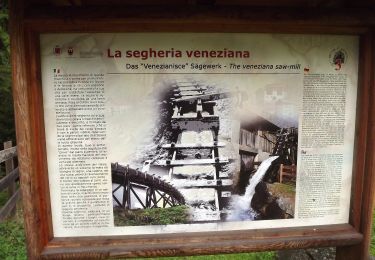 Randonnée A pied Rabbi - (SI C04) Bivio Rifugio Stella Alpina al Lago Corvo - Passo Palù - Malga Bordolona di Sopra - Malga Preghena di Sotto - Val Malgazza - Ponte delle Poie - Bagni di Bresimo - Photo