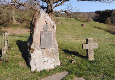 Tocht Te voet Glatten - Pfalzgrafenweiler - Dornhan - Photo