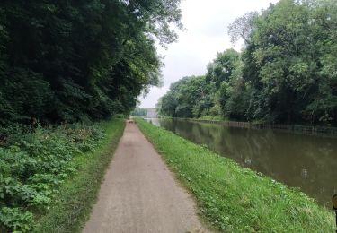 Tour Radtourismus  Montargis - Montargis - Dammarie les Lys par EuroVélo3 - Photo