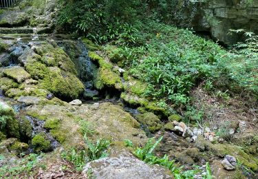 Trail Walking Antheuil - Source - Photo