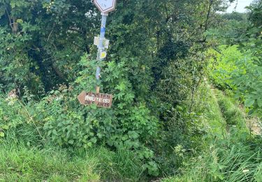 Percorso Marcia Braine-l'Alleud - Colipain, Braine le Chateau - Photo