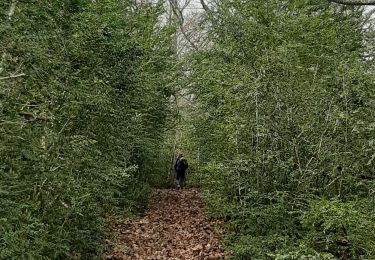 Trail Walking Sainte-Colombe - SAINTE COLOMBE . 05 . Pas de Sainte  Colombe o m s - Photo