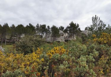 Percorso Marcia Cassis - Couronne de Charlemagne.  - Photo