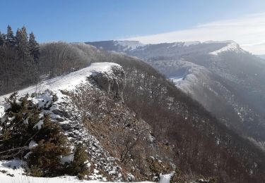 Tocht Stappen Vassieux-en-Vercors - Forêt communale de Dié - Photo