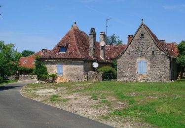 Tocht Stappen Gintrac - Château de Taillefer - Gintrac - Photo