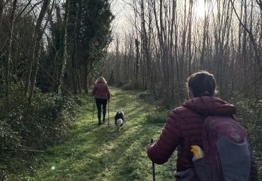 Excursión Marcha nórdica Lesparre-Médoc - St Trelody Médoc - Photo