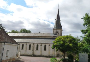 Percorso Marcia Authon - Authon - Monthodon - 13.6km 130m 3h00 (30mn) - 2023 07 19 - Photo