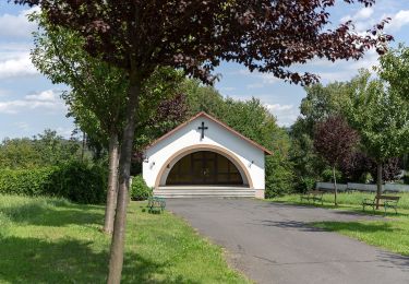 Tocht Te voet Gemeinde Mariasdorf - Rundwanderweg Bergwerk/Neustift - Schloss/Tauchental/Sonnleiten - Photo