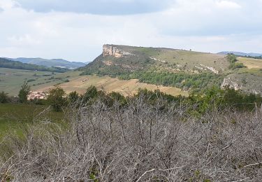 Trail Walking Solutré-Pouilly - Solutré Vergisson 2 roches - Photo
