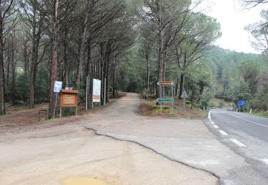 Percorso A piedi Tempio Pausania - Sentiero Italia - Tappa Z34 - Photo