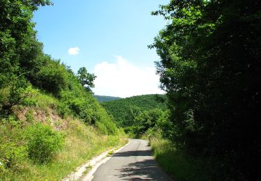 Percorso A piedi Nagybörzsöny - S▲ (Hegyes-hegy-orom) - Photo