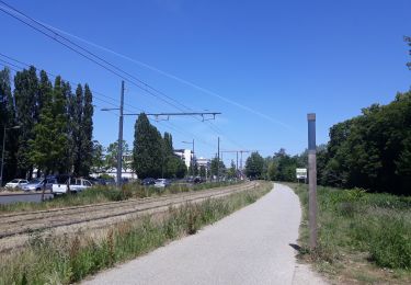 Randonnée Vélo de route Watermael-Boitsfort - 2020.05.29.V.Senne.13 - Photo