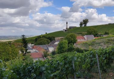 Tocht Stappen Verzy - la balade bouquine - Photo