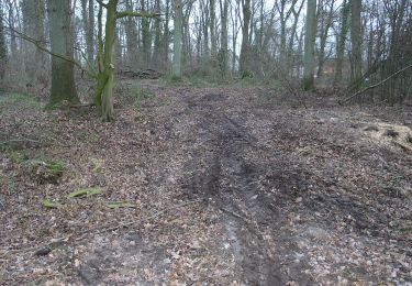 Tour Zu Fuß Sassenburg - Osloßer Allertal Rundwanderweg - Photo