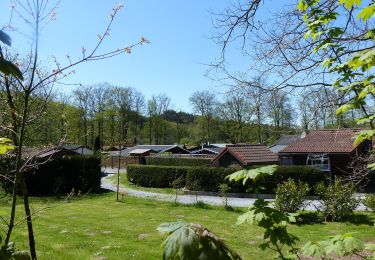 Percorso A piedi Möhnesee - Neuhaus Rundweg A8 - Photo