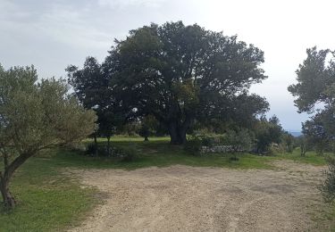 Randonnée Marche Cotignac - sommet du Bessillon - Photo