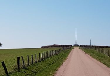 Randonnée Marche Darney - Darney : Vers le pont Tatal  - Photo