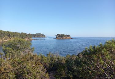 Percorso Marcia La Londe-les-Maures - Plage de l'Argentière à l'Estagnol 27.05.23  - Photo