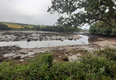 Tocht Stappen Lanildut - aber ildur - Photo