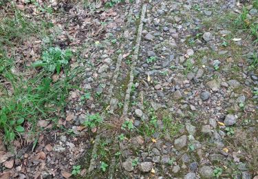 Percorso Marcia Bassignac - 250625 - Vendes - GRP,Montgroux,Viaduc - Photo